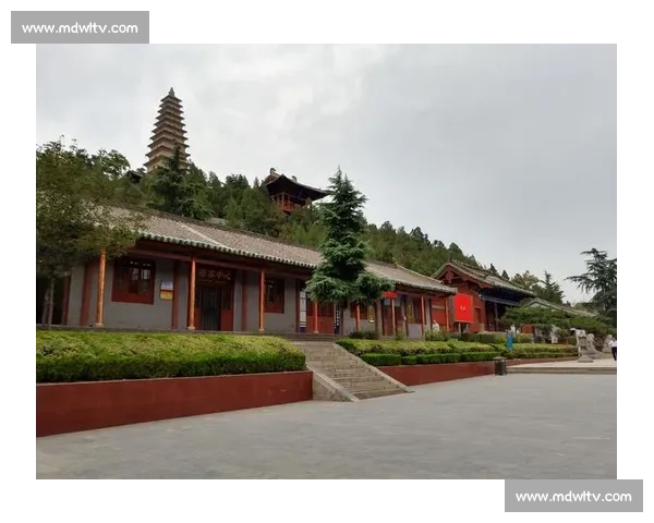 以历史战绩为核心回顾发展脉络与胜负规律全景解析的深度研究报告